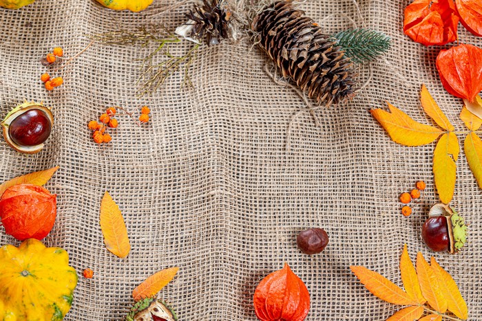Autumn still life with Physalis, pumpkin, chestnuts, pine cones, and leaves