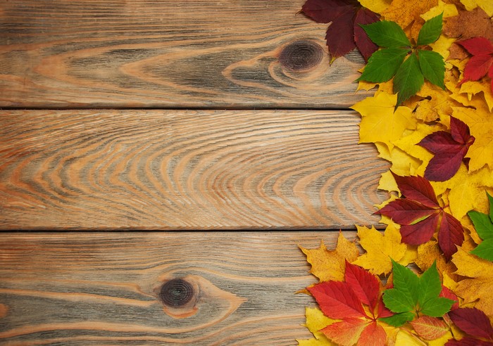 Autumn Leaves on Wooden Planks