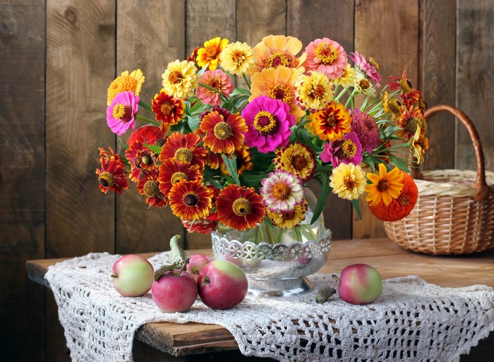Autumn bouquet of zinnias with apples and wicker basket