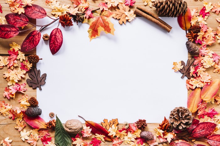 Autumn leaves and pine cones border a blank card