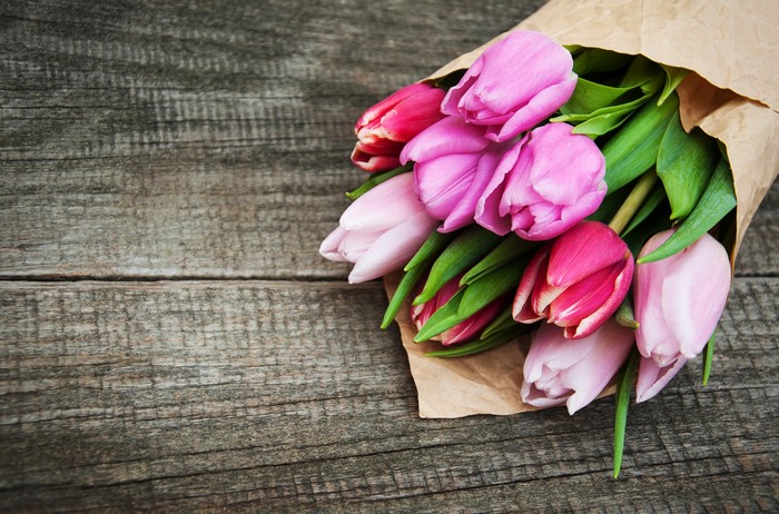 Bouquet of pink and red tulips on wood planks