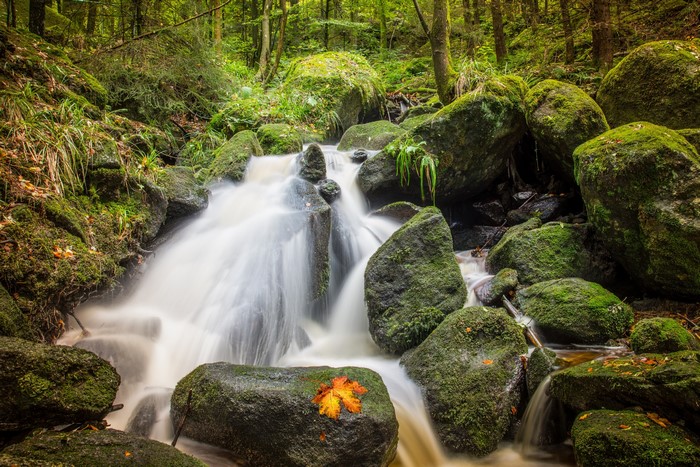 Mossy rocks and waterfall in a forest