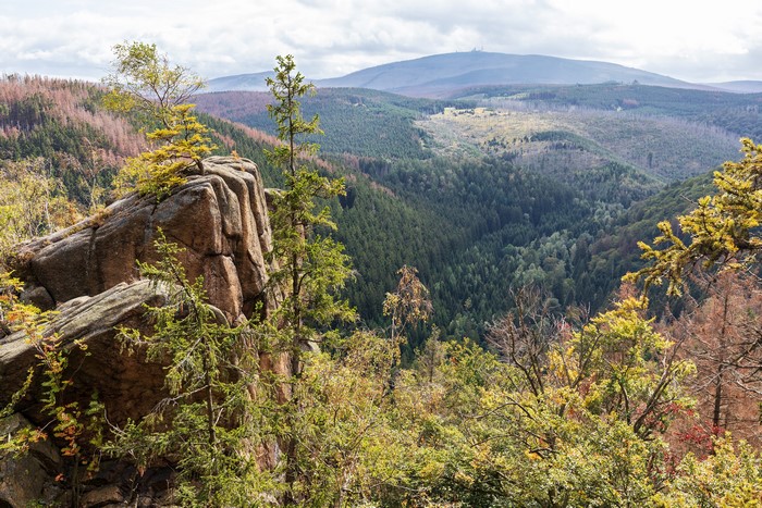 4K Scenery of Forests and Hills in Lower Saxony, Germany