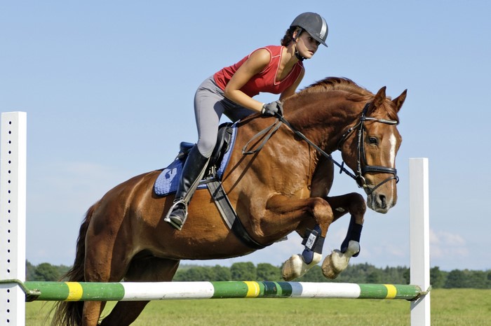Woman riding a horse jumping over a hurdle