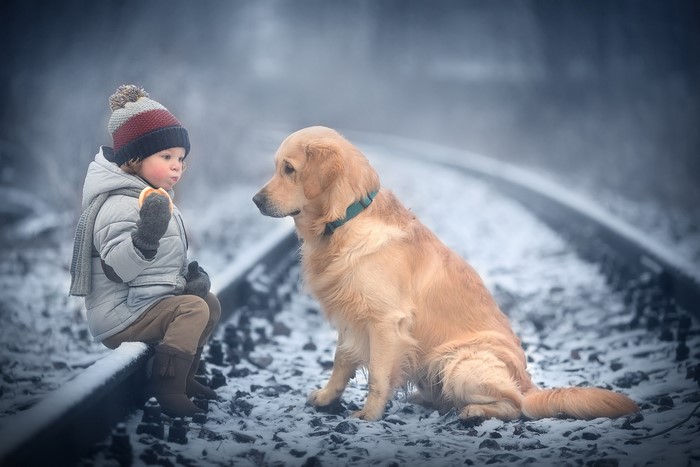 Boy and Golden Retriever on Railroad Tracks in Winter