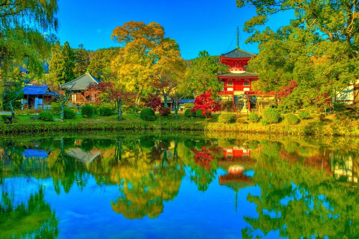 Daikaku-ji Temple and Pond in Autumn Kyoto