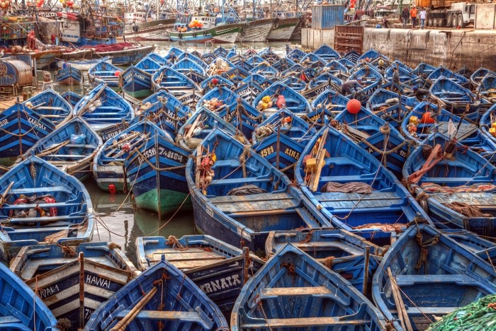 Many blue fishing boats docked in a Moroccan seaport