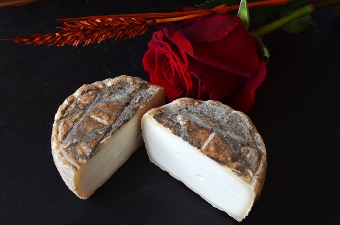 Cheese and red rose on a dark surface