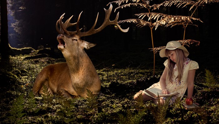 Deer and Girl Reading in Forest