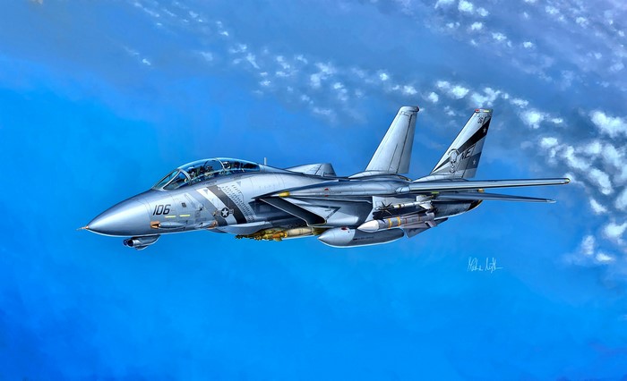 Grumman F-14D Super Tomcat VF-2 Painting Art