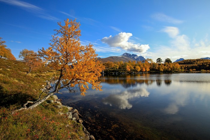 Autumn lake with golden trees and mountains in Norway