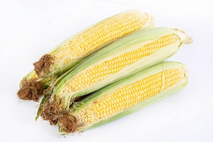 Four ears of corn on a white background