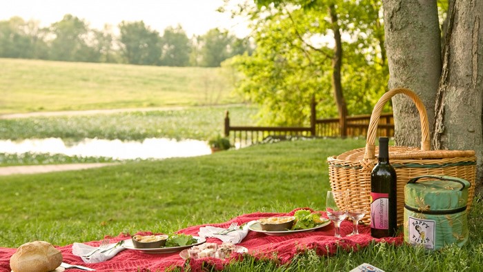 Picnic with wine and food on a red tablecloth