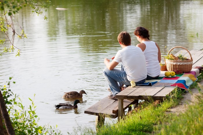 Couple having a picnic by the lake with ducks