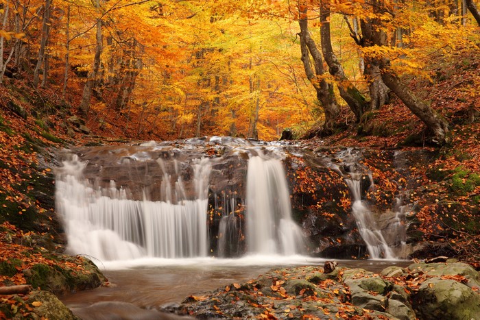 Waterfall in an Autumn Forest with Orange Foliage