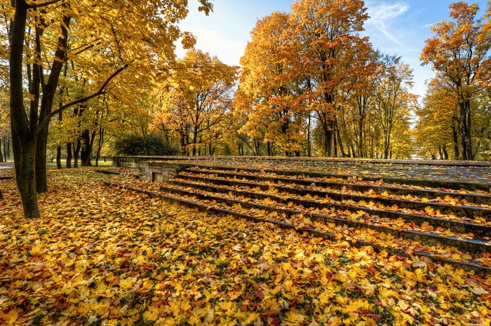 Autumn park with fallen leaves on stairs in St. Petersburg