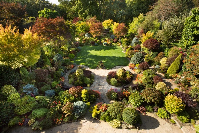 Walsall Garden Design with Lawn and Shrubs in England