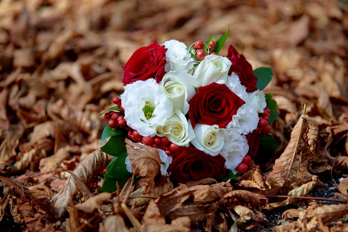 Red and white roses bouquet on autumn leaves