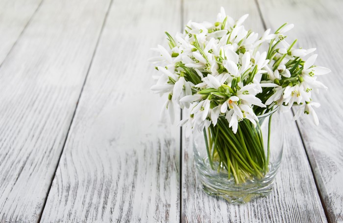 Bouquet of snowdrops in a glass on a wooden table