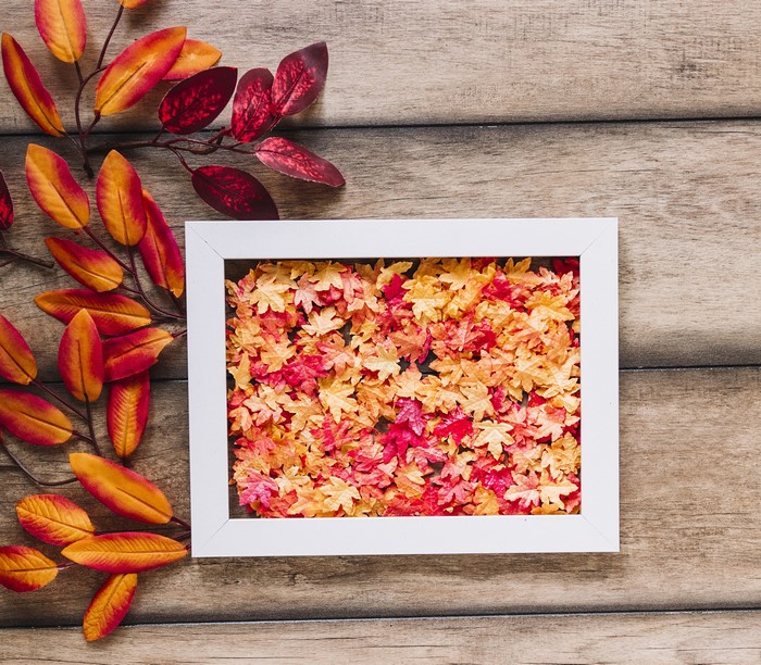 Autumn leaves in a white frame on wood
