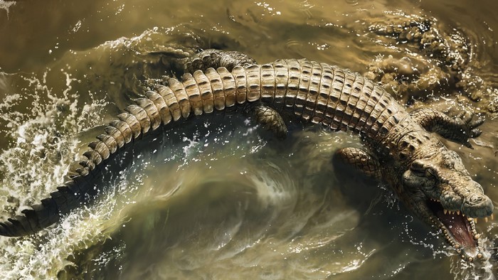 Crocodile swimming in murky water with mouth open