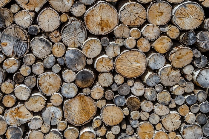 Stack of cut wood logs texture