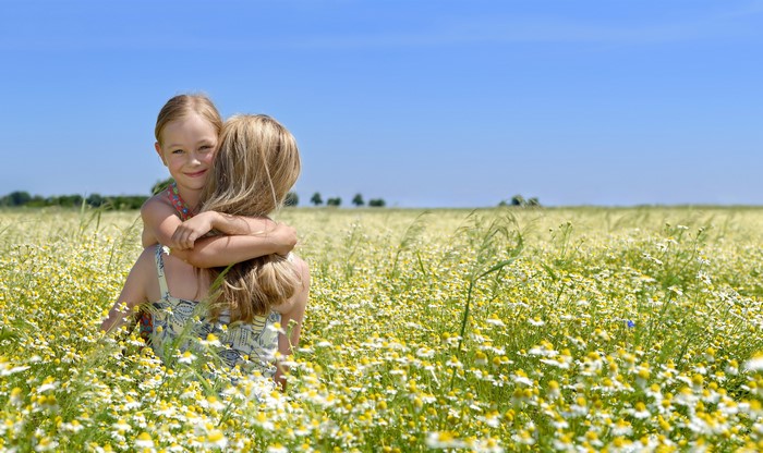 4K Mother and Daughter in Camomile Field