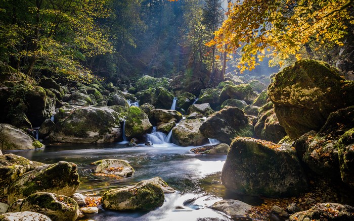 4K Autumn Stream with Moss-Covered Stones
