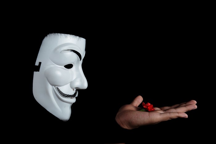 Guy Fawkes mask and a red rose