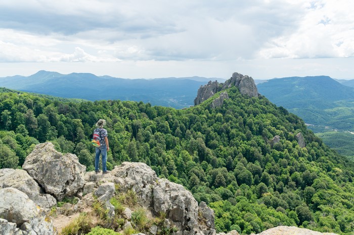 Tourist with backpack on mountain overlooking forest