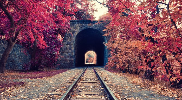 Autumn Railroad Tracks Leading to Tunnel
