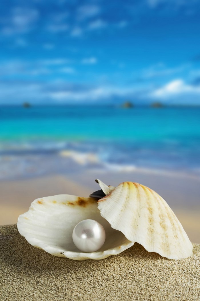 Pearl in a Seashell on Sandy Beach