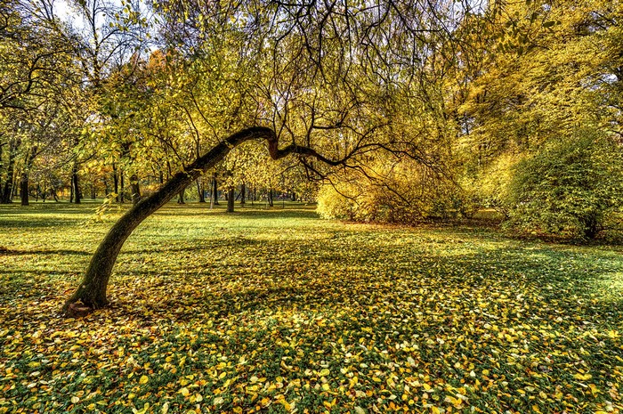 Park Ekaterinhof in St. Petersburg during autumn