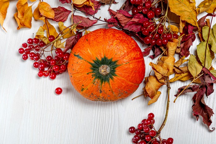 Pumpkin with Autumn Berries and Leaves
