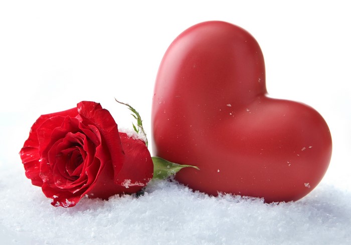Red rose and heart in snow