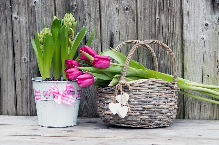 Pink tulips and hyacinths in a bucket and basket