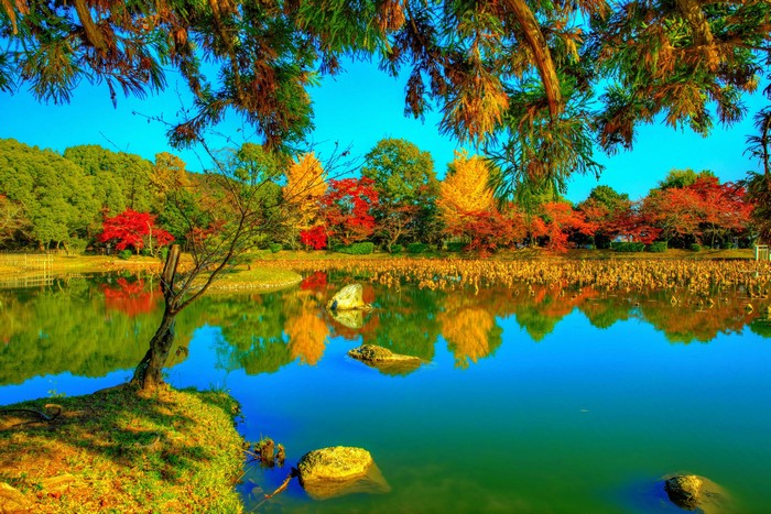 Autumn Colors at Daikaku-ji Pond in Kyoto