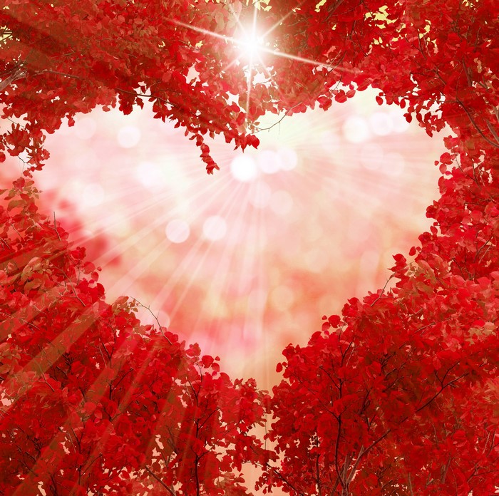 Heart shape made of red autumn leaves with sun rays