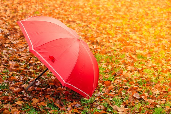 Red umbrella on autumn leaves