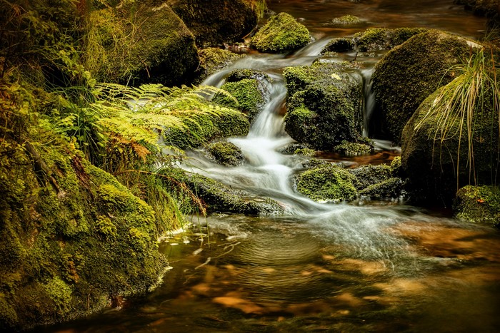 Mossy rocks and stream in Harz