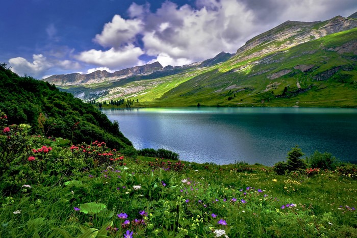 Engstlen Lake and Alpine Mountains in Switzerland