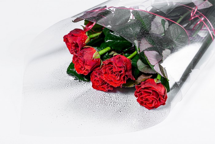 Bouquet of Red Roses on White Background