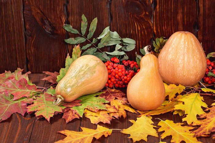 Autumn pumpkins and rowan berries on wooden background