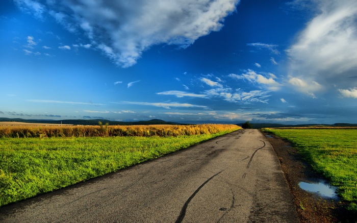 Road through fields under a cloudy sky