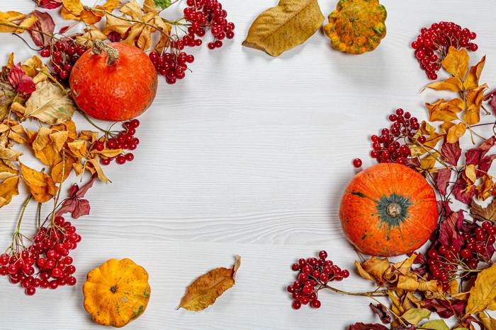 Autumn pumpkins and berries on a white wooden table