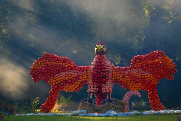 Phoenix sculpture made of pumpkins in a garden
