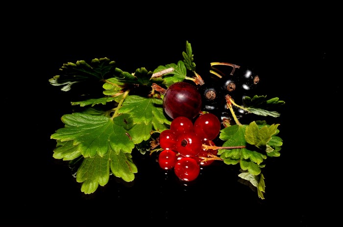 Gooseberry, Currant, and Foliage on Black Background