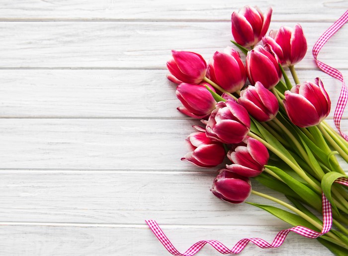 Red tulips with ribbon on wood planks