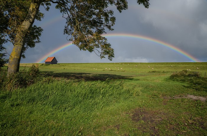 Rainbow over a field in Kreileroord, Netherlands