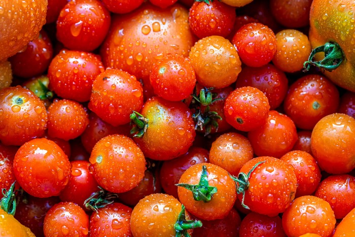 Close-up of fresh cherry tomatoes with water drops